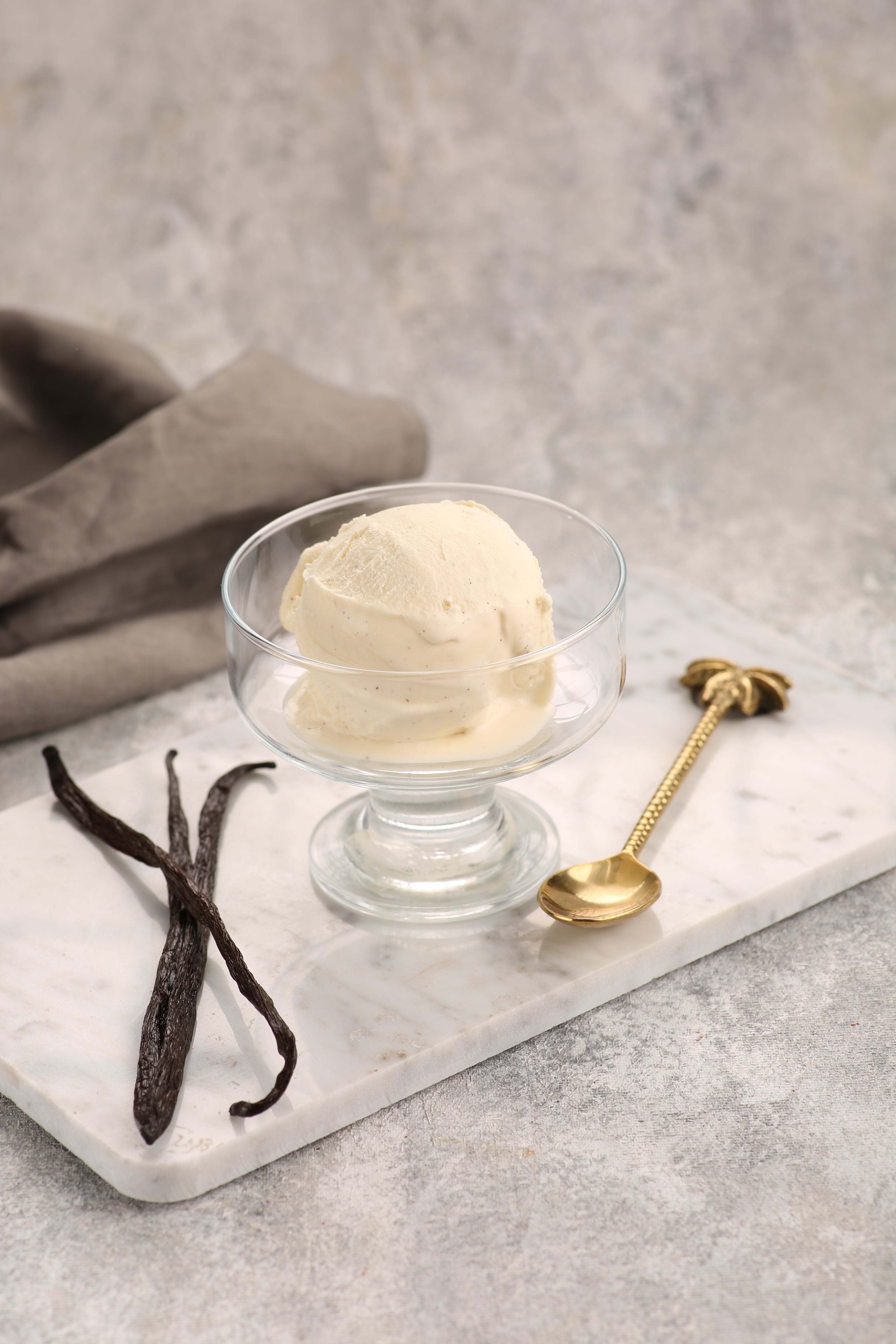 Camel Milk Vanilla Ice Cream