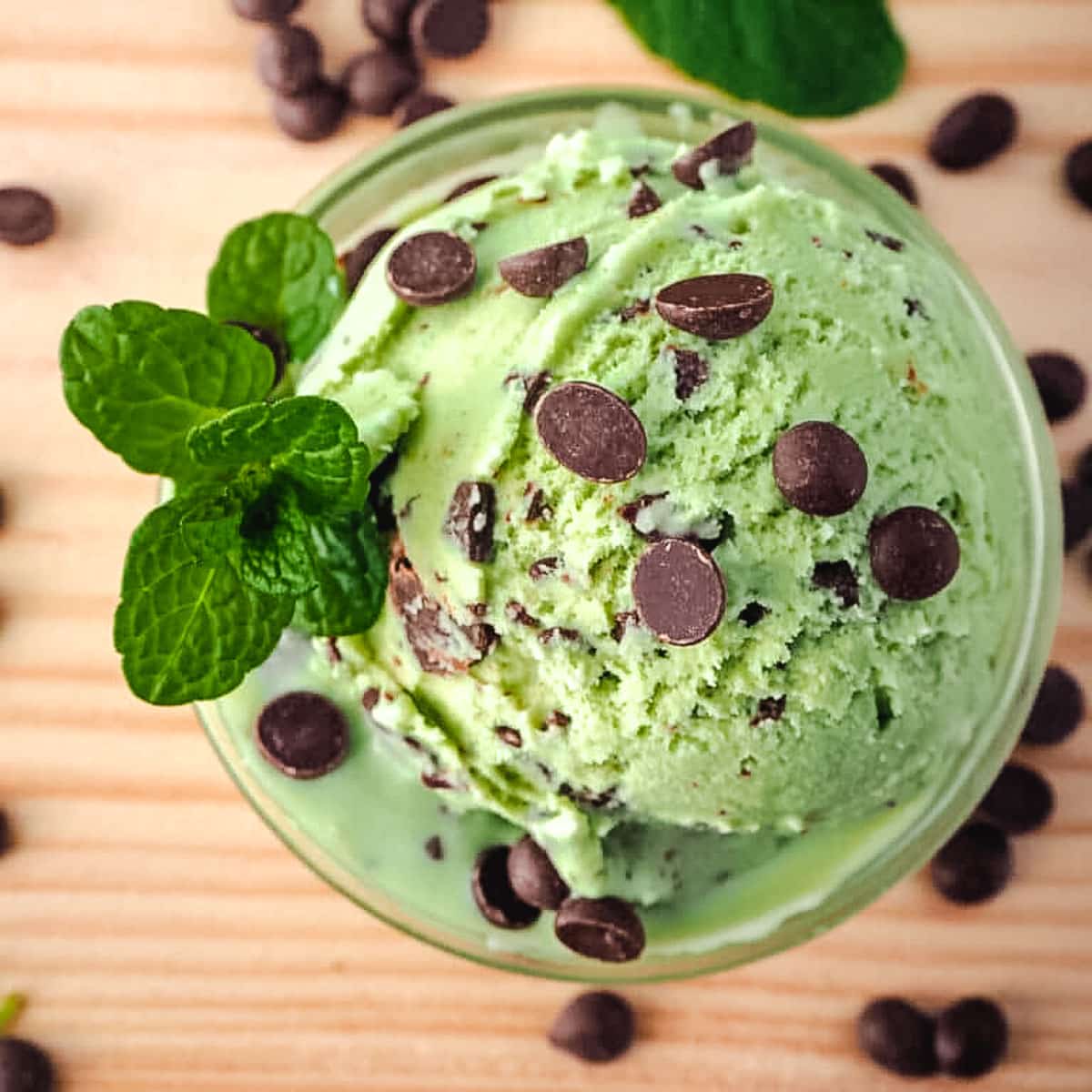 Mint Gelato with 55% Belgium Dark Choc Chip